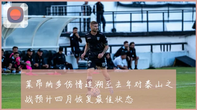 莱昂纳多伤情追溯至去年对泰山之战预计四月恢复最佳状态